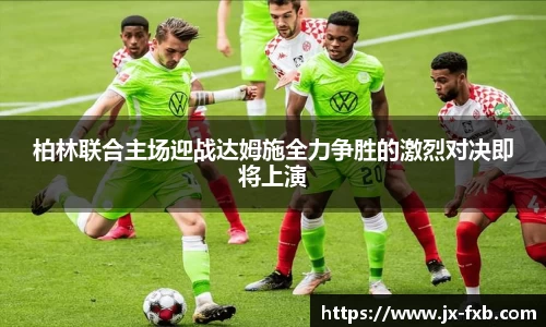 奇异果qyg网页版