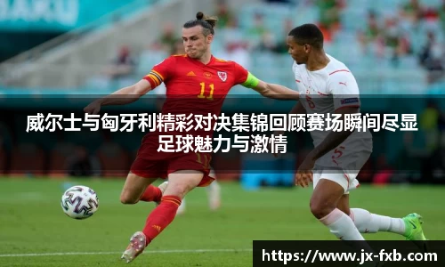 奇异果体育